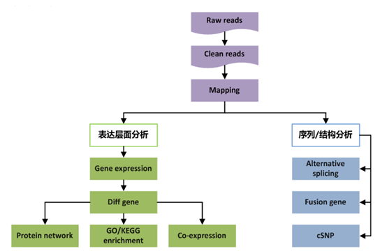 真核转录组测序分析流程图