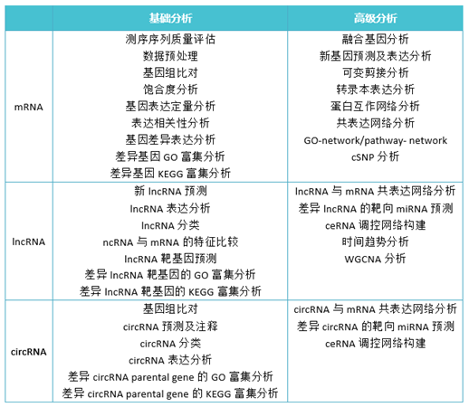 全转录组测序基础分析与高级分析