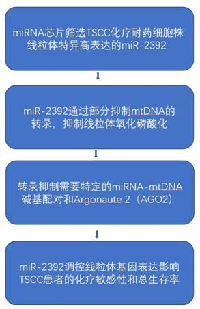 QQ 截图 20191204134948