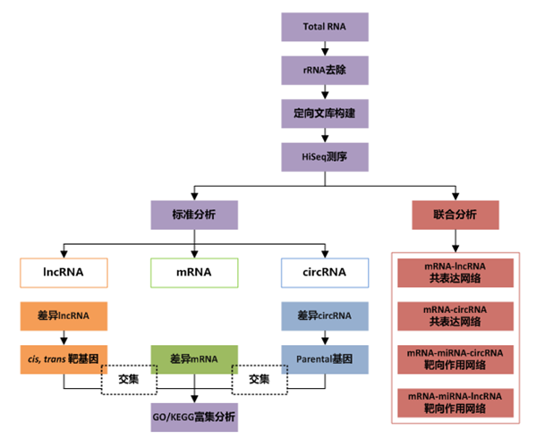 全转录组测序数据分析