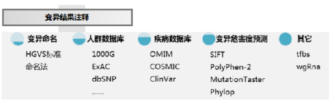 变异结果注释