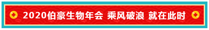 凯发k8国际年会主题