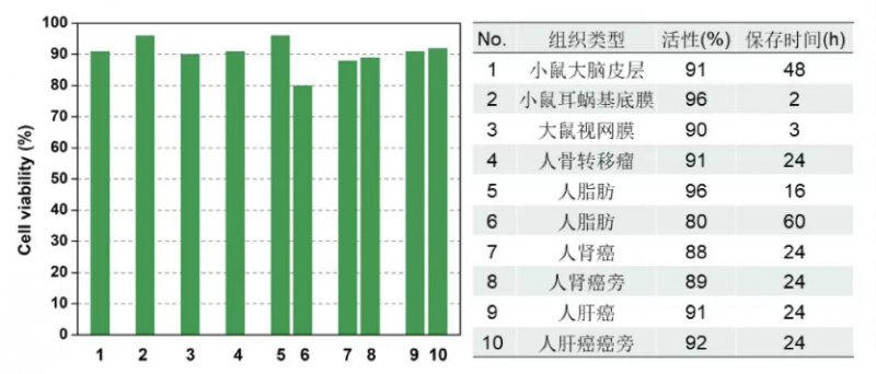 不同细胞活性测试表达情况