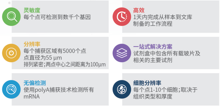 凯发k8国际空间转录组测序