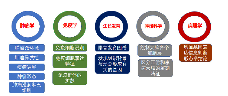 凯发k8国际空转测序