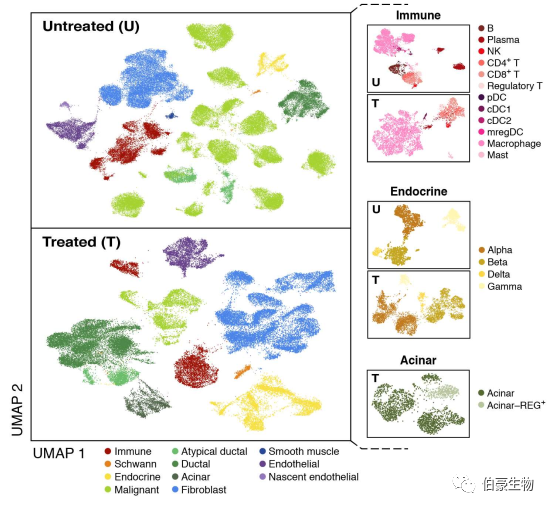 单细胞核测序 scRNA-seq 图 1