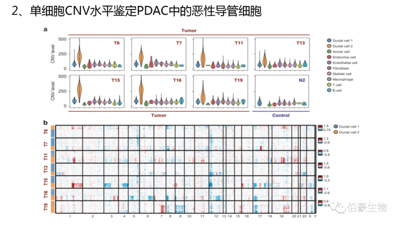 凯发k8国际单细胞测序技术服务