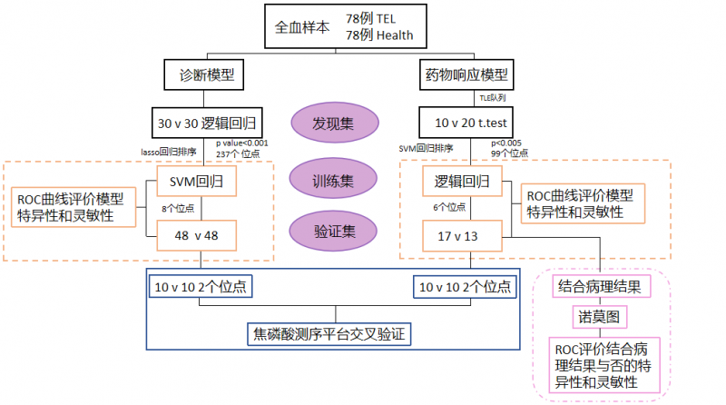 甲基化标志物研究路线