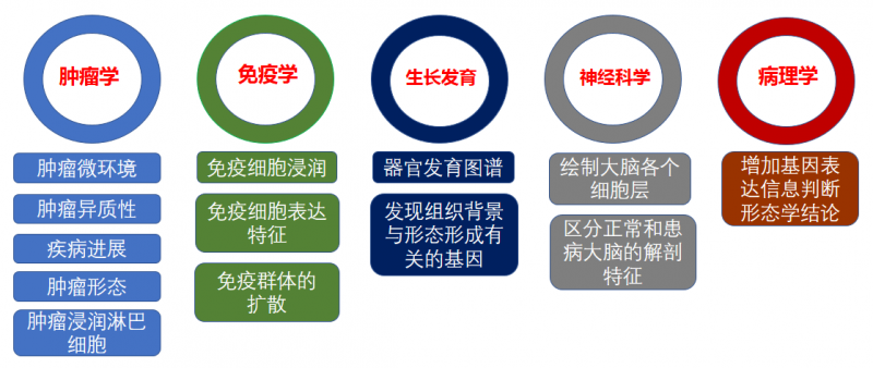 空间转录组的应用方向