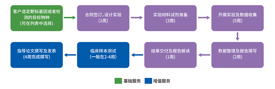 实验流程