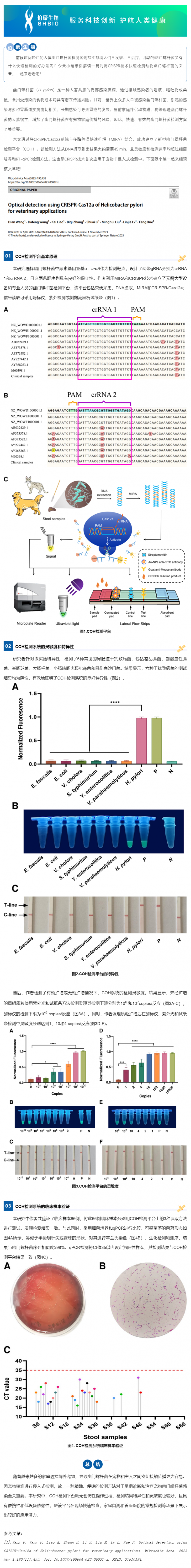 CRISPR 智库 _ CRISPR 关注宠物健康——人畜共患幽门螺杆菌现场快速检