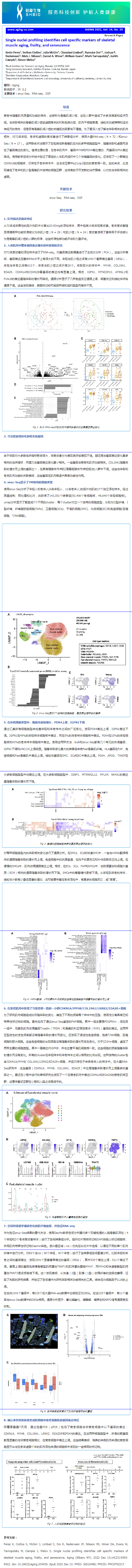 文献解读 _ 单细胞核图谱识别骨骼肌老化、脆弱和衰老的细胞特异性标记物