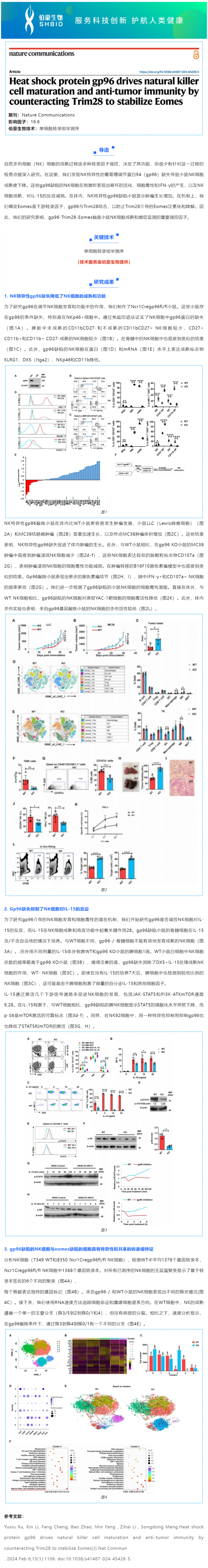 529 项目文章 _ 热休克蛋白 gp96 通过对抗 Trim28 来稳定 Eomes，从而驱动自然杀伤细胞的成熟和抗