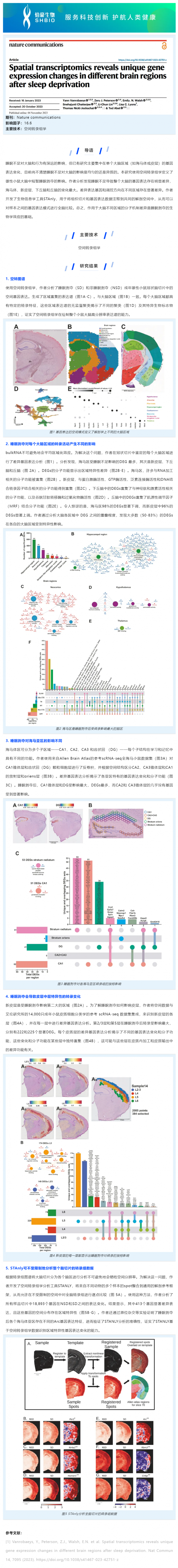 516 文献解读 _ 空间转录组学揭示睡眠剥夺后不同大脑区域的特异性基因表达变化