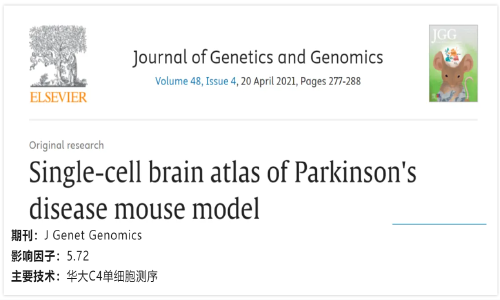 文献解读 | 帕金森病小鼠模型脑单细胞图谱