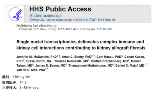 文献解读 | 单核转录组学描述了复杂的免疫和肾细胞相互作用对肾移植纤维化的影响