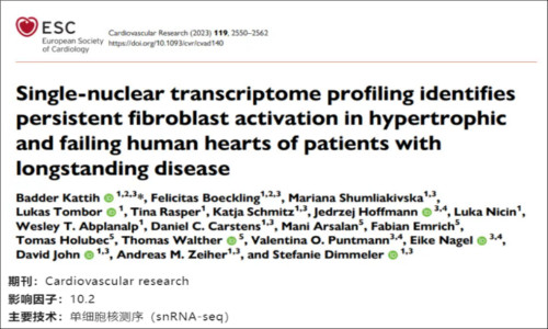 文献解读 | 单核转录组揭示长期肥厚和衰竭的人类心脏中成纤维细胞持续激活