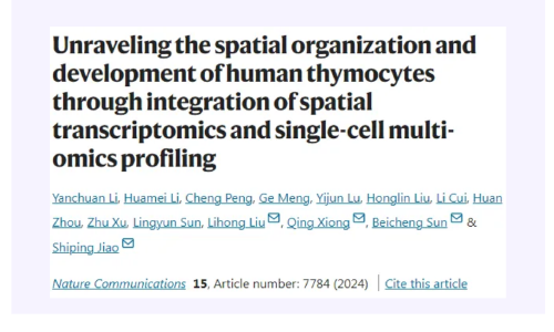 Nat Commun| 空间转录组学和单细胞多组学整合分析构建人类胸腺细胞发育空间图谱