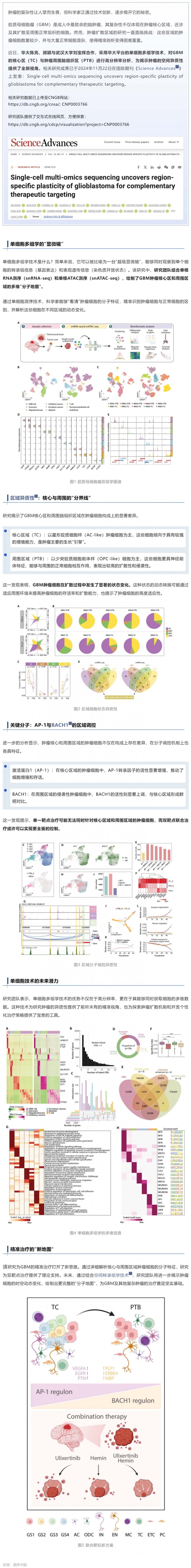 Sci Adv _ 陈亮_刘宝辉_顾颖利用单细胞多组学探秘胶质瘤的空间异质性