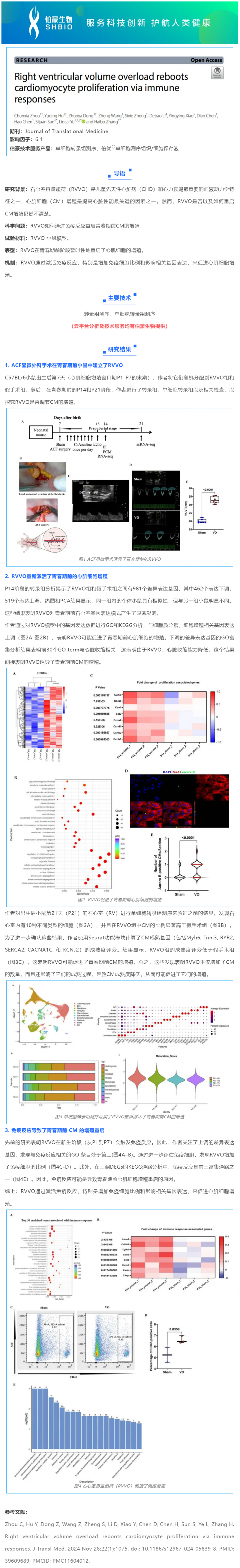 项目文章 _ 单细胞转录组测序揭示右心室容量超荷会通过免疫反应重启心肌细胞的增殖