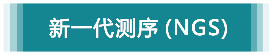 新一代测序（NGS）